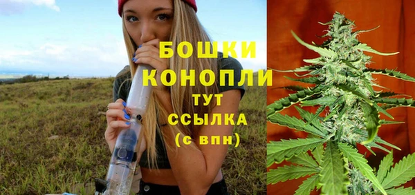 эйфоретик Верея