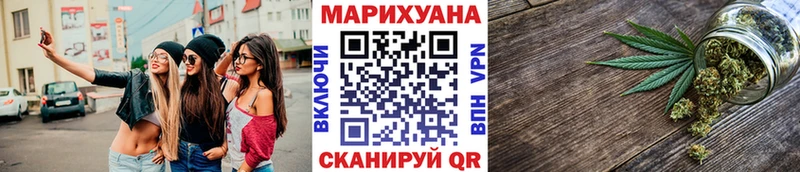 Купить закладки  Кубинка  Каннабис сатива 